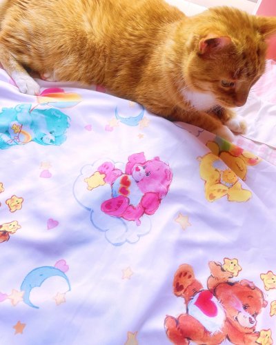 Carousel post from margaritabloom.