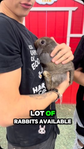 Video post from njexoticpets.