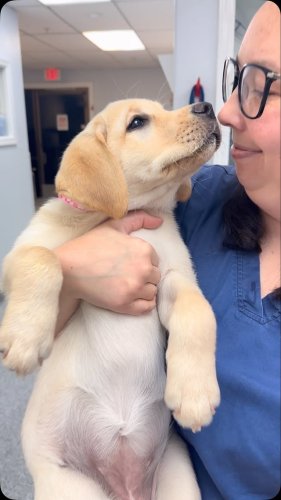 Video post from familyanimalhospitalcm.