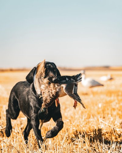 Photo post from northernskiesoutfitters.