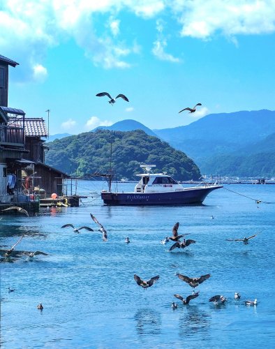 お値下げしました　有馬寛麿　「海風が渡る丘」 2025年6月29日(日) 由良海岸 海岸ドライブで湯野浜から由良まで