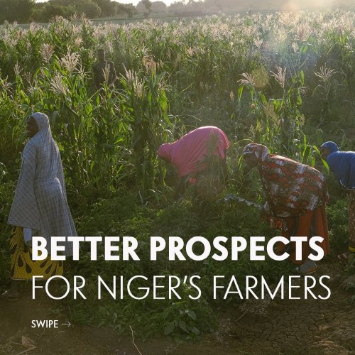 Carousel post from unops_official.