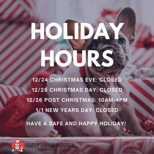 Photo post from familyanimalhospitalcm.