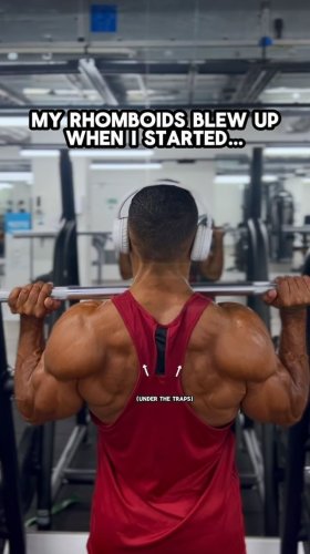 Video post from ph_gains.