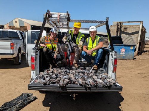 Photo post from desertkingsfalconry.