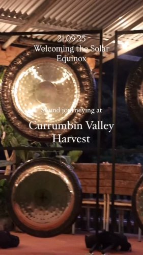 Video post from currumbinvalleyharvest.