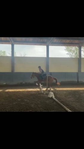 Video post from la_cla_95.