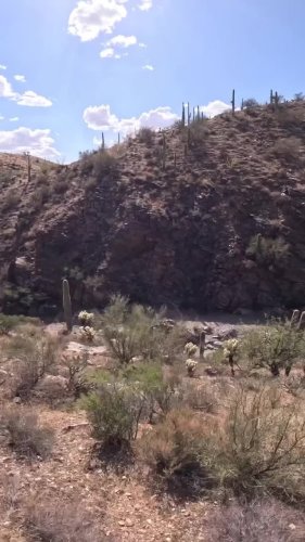 Video post from bertsmegamall.