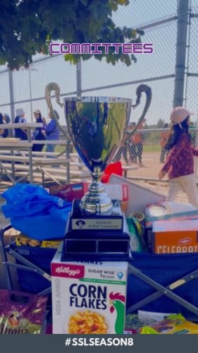 Video post from sisterhoodsoftball.