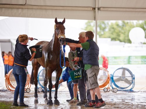 Photo post from fei_global.