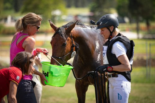 Photo post from fei_global.