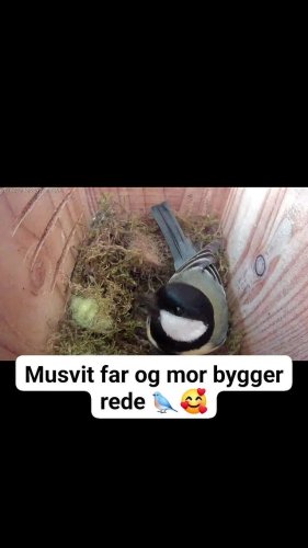 Video post from naturbutikken.dk.