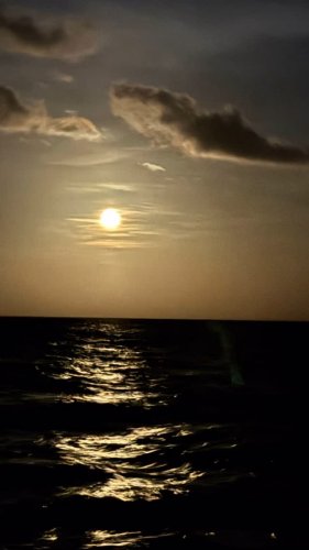 Video post from ejs_fishing_charters.