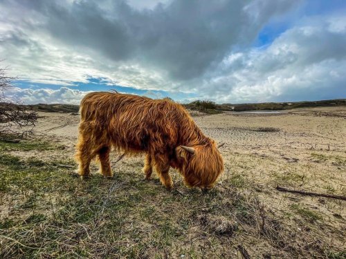 Photo post from ditiskatwijk.