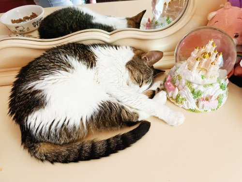 Carousel post from margaritabloom.