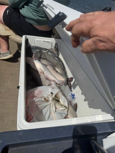 Carousel post from lanerholetter.