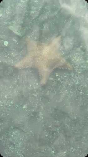 Video post from ejs_fishing_charters.