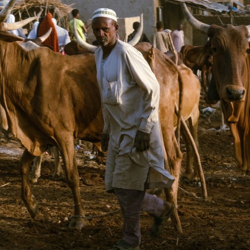 Photo post from unops_official.