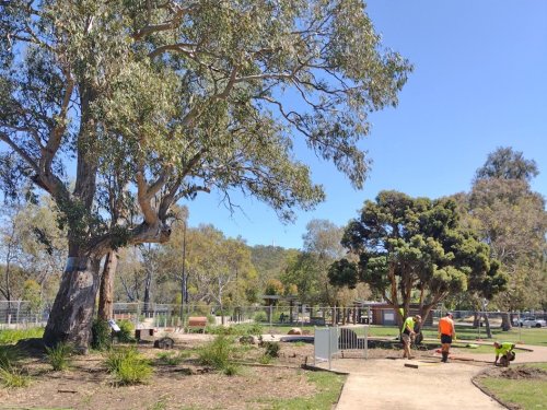 Photo post from alburycity.