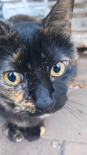 Video post from ira.martelo.