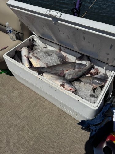 Carousel post from lanerholetter.