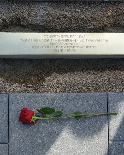 Carousel post from whg_riesa.