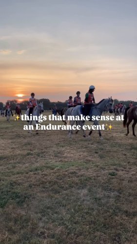 Video post from fei_global.