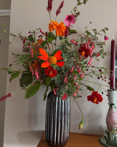 Photo post from gardenhousebrighton.