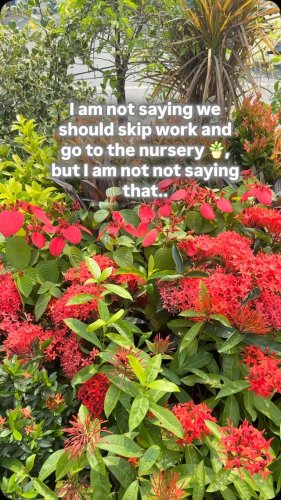 Video post from purkinje_crazyforplants.