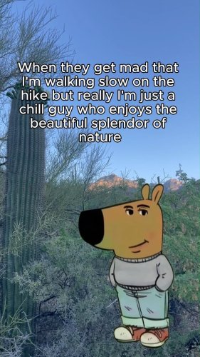 Video post from visittucson.