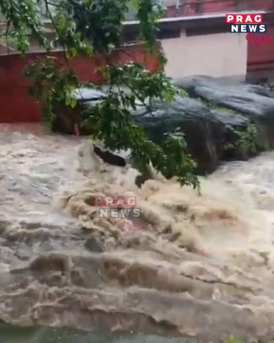 Video post from pragnewsofficial.