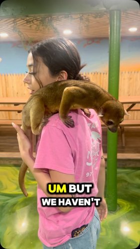 Video post from njexoticpets.