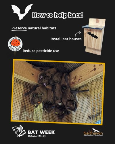 Photo post from salthaven_org.