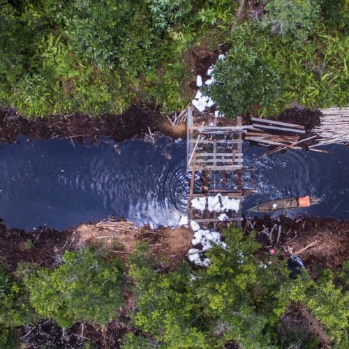 Photo post from unops_official.