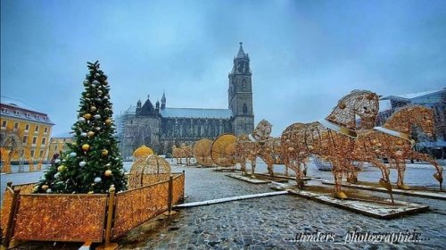 Photo post from visit.magdeburg.