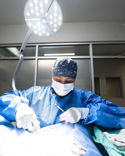 Photo post from medicalpettj.