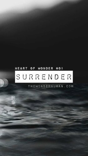 Video post from thewonderhuman.