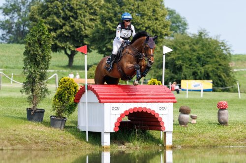 Photo post from fei_global.