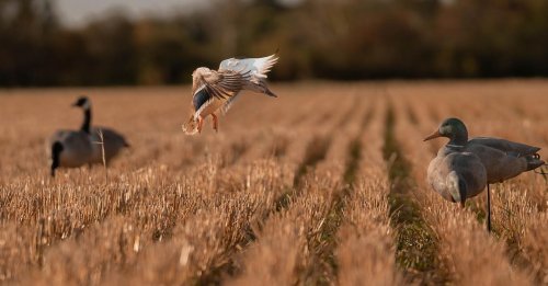 Photo post from northernskiesoutfitters.