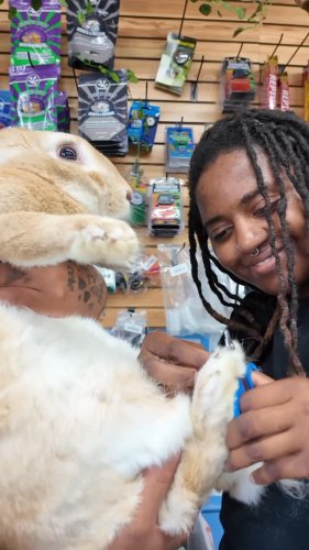 Video post from njexoticpets.