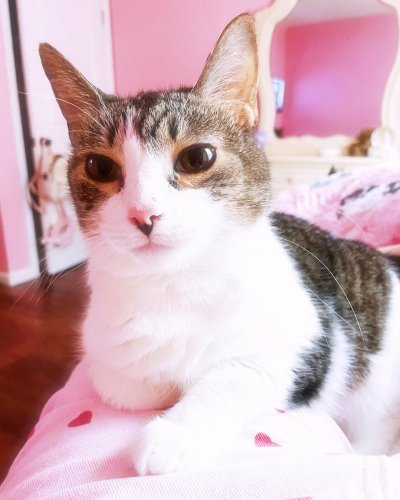 Photo post from margaritabloom.