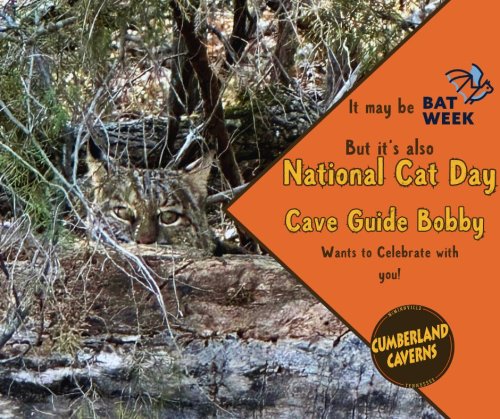 Photo post from cumberlandcaverns.