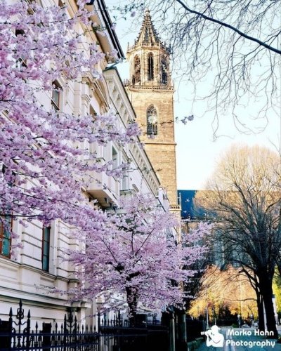 Photo post from visit.magdeburg.