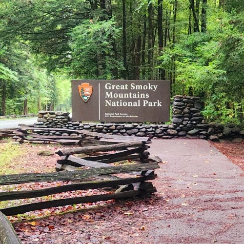 Carousel post from michellejanko42.