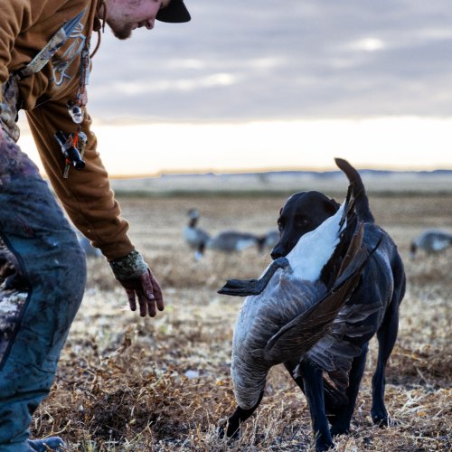 Photo post from northernskiesoutfitters.