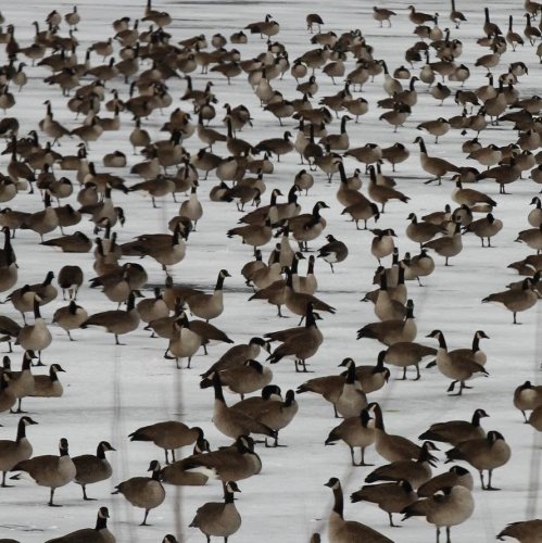 Carousel post from northernskiesoutfitters.