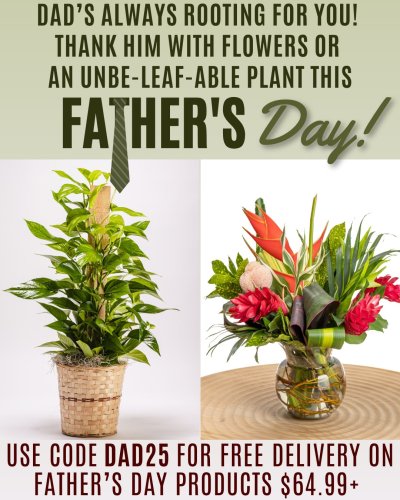 Photo post from thefamilyflowers.