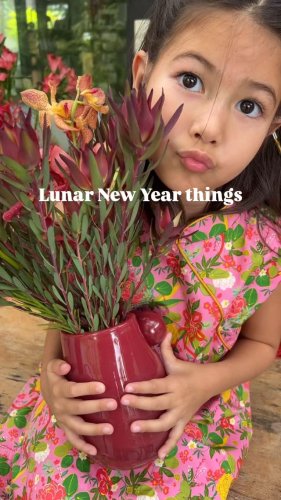 Video post from crane_living.