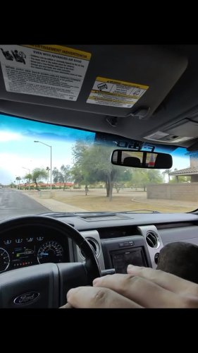 Video post from desertkingsfalconry.