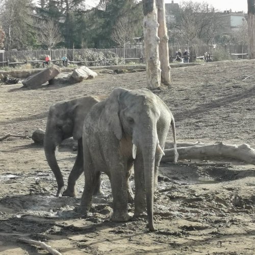 Photo post from visit.magdeburg.